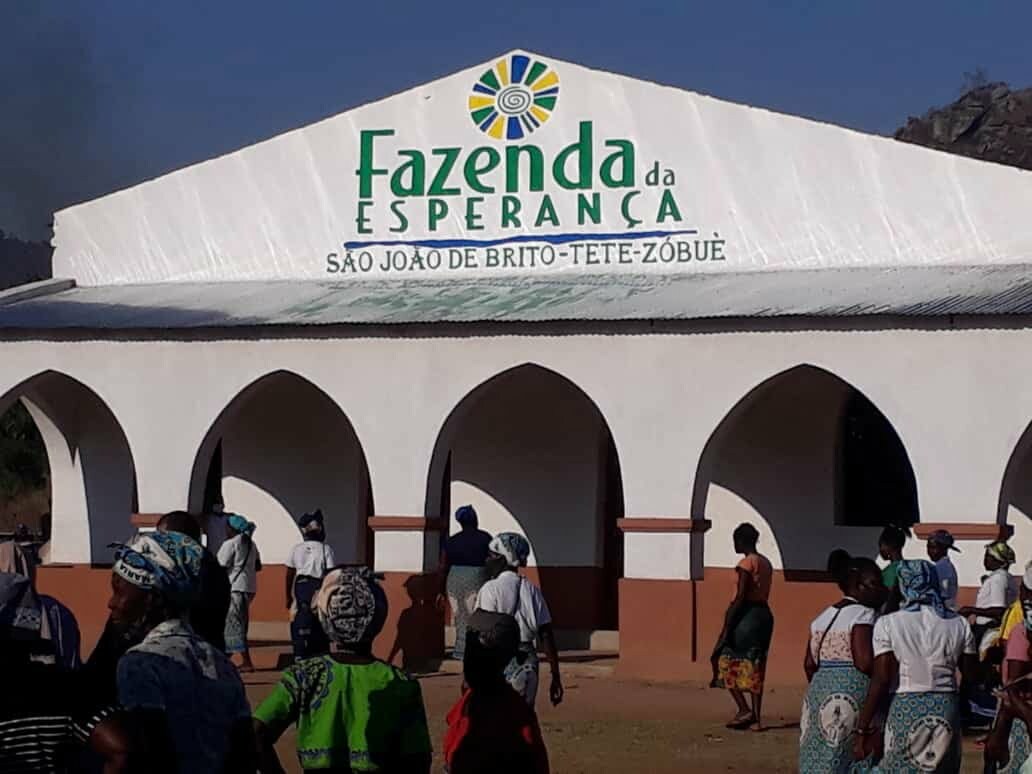 Veja quais são as perguntas mais frequentes sobre a Fazenda da ...