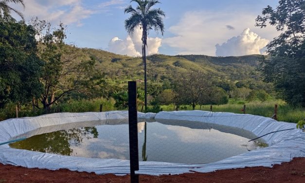 Criação de peixes é implantada para auxiliar no autossustento da Fazenda de Coromandel (MG)