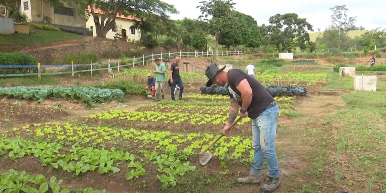 Reportagem mostra rotina dos acolhidos na Fazenda de Guarará (MG)