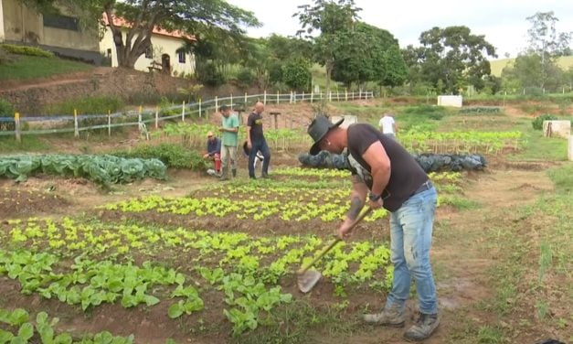 Reportagem mostra rotina dos acolhidos na Fazenda de Guarará (MG)