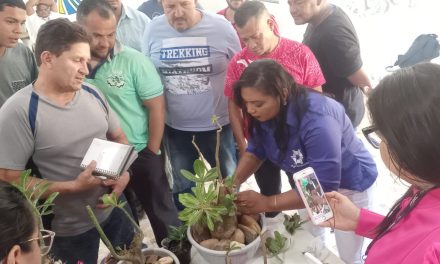 Acolhidos da Fazenda de Porto Nacional aprendem técnica de plantio e poda