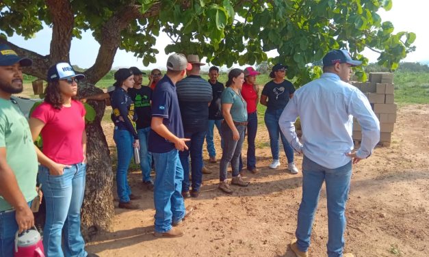 Estudantes da Unicentral visitam fazenda da Campo Verde