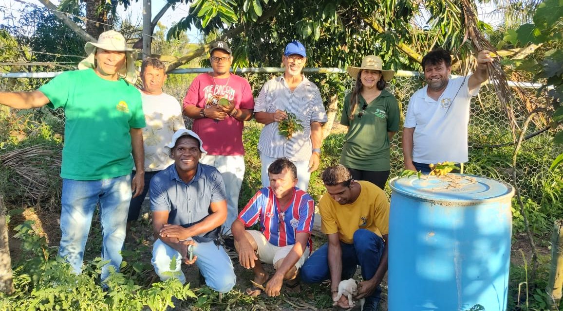 Membros da Fazenda em São Cristóvão participam de curso sobre horta orgânica