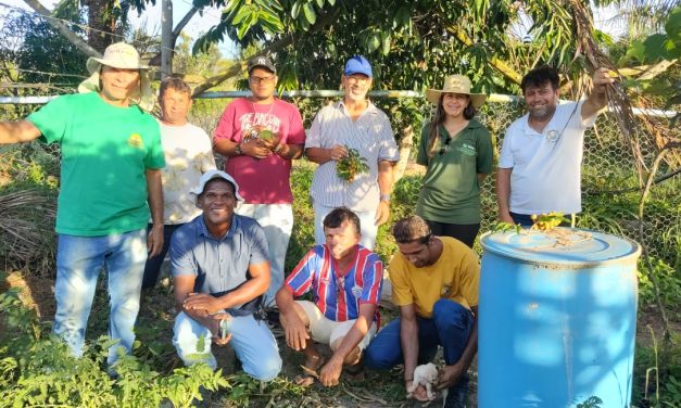 Membros da Fazenda em São Cristóvão participam de curso sobre horta orgânica