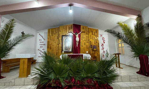 Semana Santa: Fazenda da Esperança no México celebra o domingo de Ramos