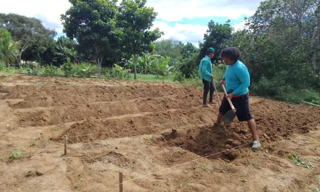 Acolhidos em Lagarto (SE) celebram os frutos da laborterapia realizada na unidade