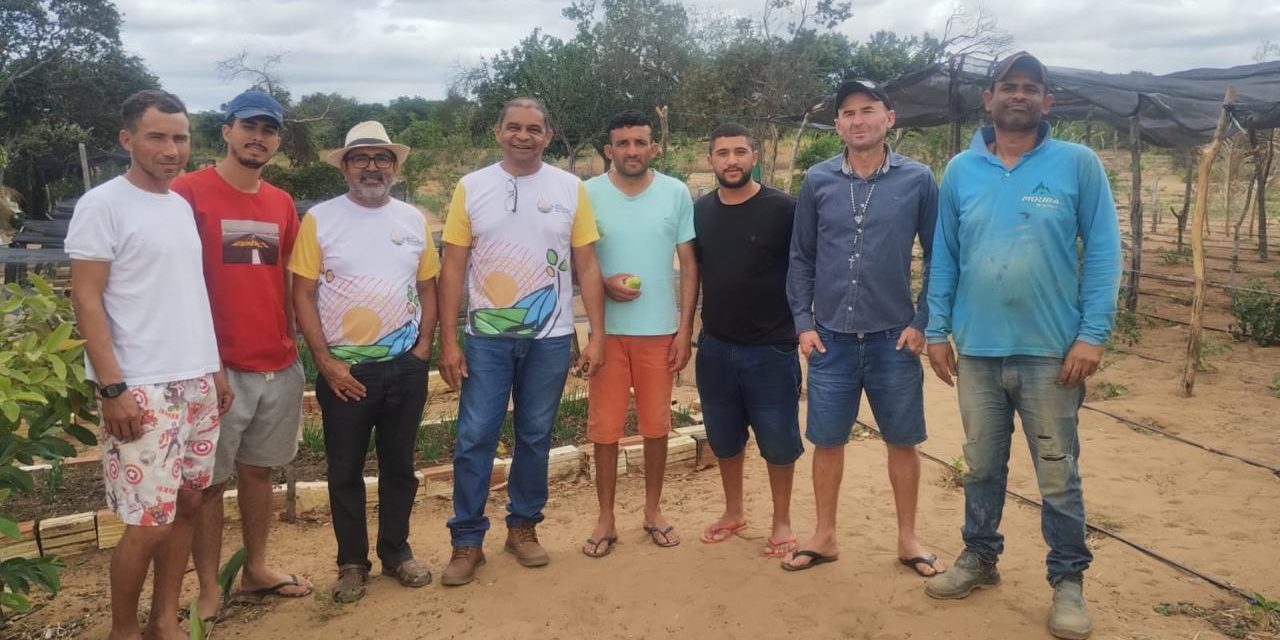 Acolhidos da Fazenda da Esperança em Itainopólis (PI) realizam curso sobre manejo do solo e produção de hortaliças