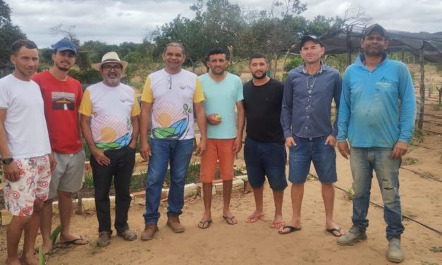 Acolhidos da Fazenda da Esperança em Itainopólis (PI) realizam curso sobre manejo do solo e produção de hortaliças
