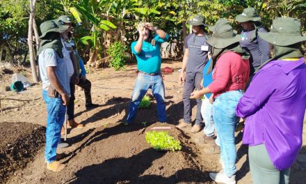 Em parceria com o Senar, Fazenda de Mozarlândia promove curso de cultivo de hortaliças