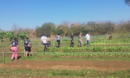 Em Itainópolis (PI), acolhidos da Fazenda participam de curso sobre manejo de horta