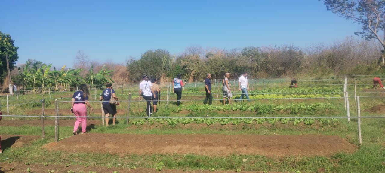 Em Itainópolis (PI), acolhidos da Fazenda participam de curso sobre manejo de horta