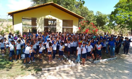 Fazenda de Dianópolis recebe visita de 400 alunos de Escola Municipal