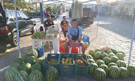 Colheita marca o mês de outubro na Fazenda da Esperança em Mauriti (CE)