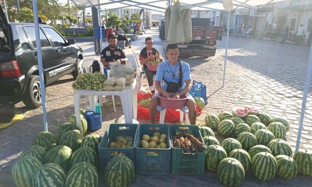 Colheita marca o mês de outubro na Fazenda da Esperança em Mauriti (CE)