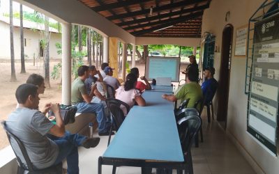 Fazenda da Esperança e Senar: parceria promove curso de suinocultura em Mozarlândia (GO)