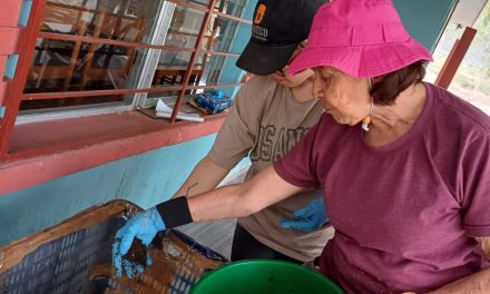 Acolhidas da Fazenda da Guatemala realizam curso sobre compostagem com minhocas