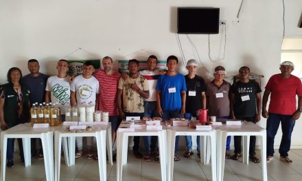 Acolhidos participam de curso sobre aproveitamento do babaçu em Caxias
