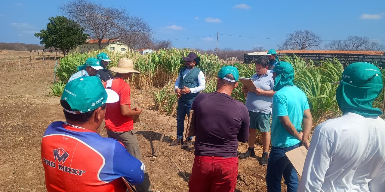 Fazenda São João Paulo II recebeu curso sobre agricultura e plantação de palma