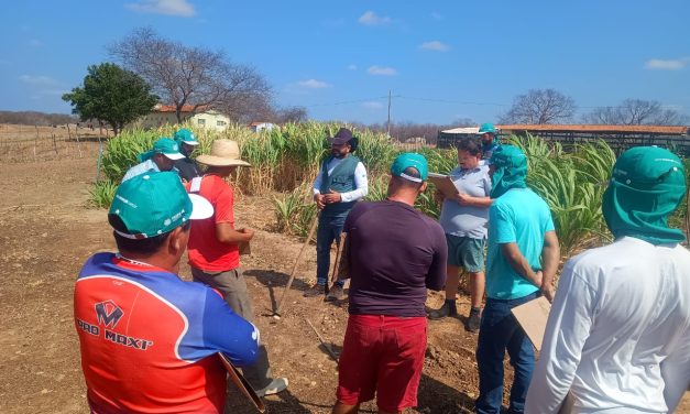 Fazenda São João Paulo II recebeu curso sobre agricultura e plantação de palma