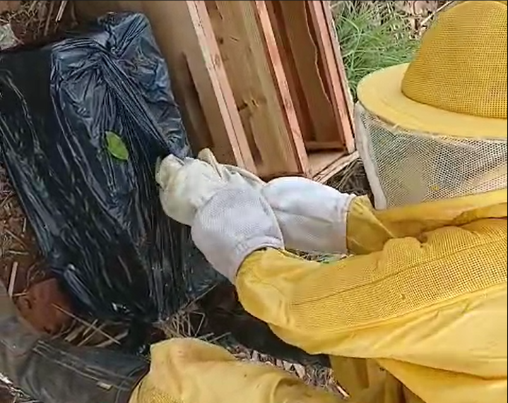 Fazenda da Esperança firma parceria com Apis Melifera para projeto de apicultura