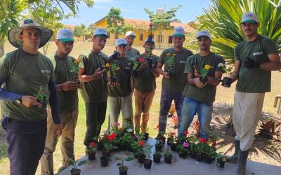 Curso de jardinagem na Fazenda de Jaboatão