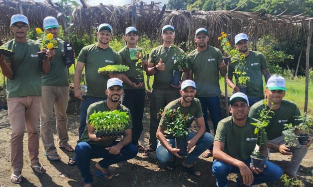 Curso de olericultura com SENAR transforma vidas na Fazenda de Jaboatão