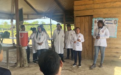 Estudantes da Universidade da Venezuela realizam atividades na Fazenda da Esperança