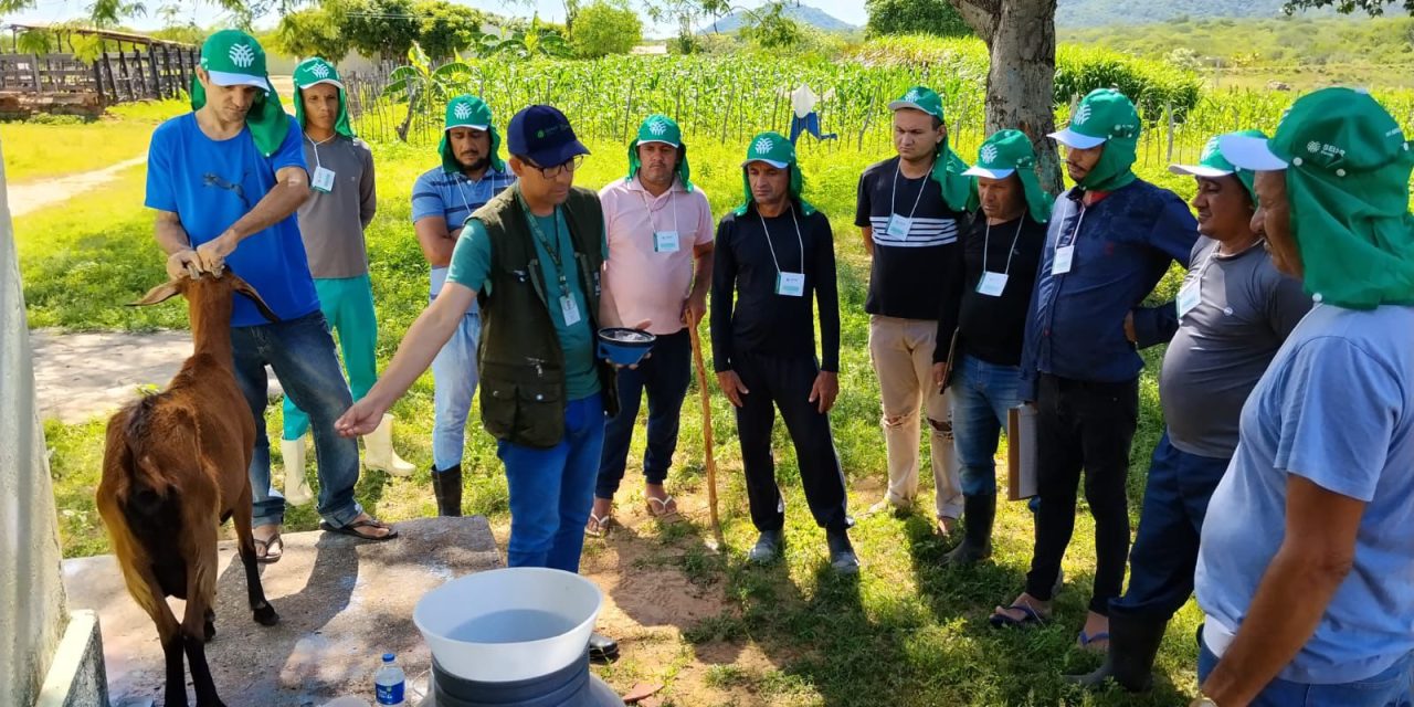 Acolhidos da Fazenda em Condado aprendem sobre produção de leite de cabra com SENAR