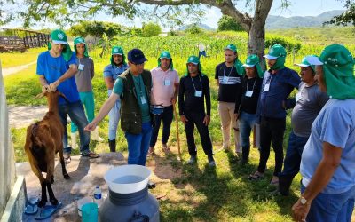 Acolhidos da Fazenda em Condado aprendem sobre produção de leite de cabra com SENAR