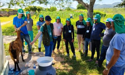Acolhidos da Fazenda em Condado aprendem sobre produção de leite de cabra com SENAR