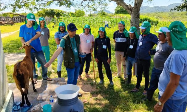 Acolhidos da Fazenda em Condado aprendem sobre produção de leite de cabra com SENAR