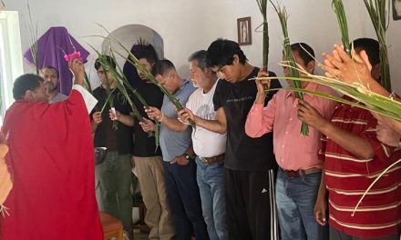 Domingo de Ramos marca início da Semana Santa na Fazenda de Guadalajara
