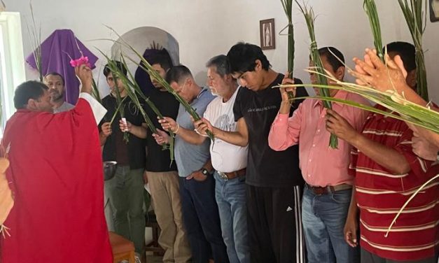 Domingo de Ramos marca início da Semana Santa na Fazenda de Guadalajara