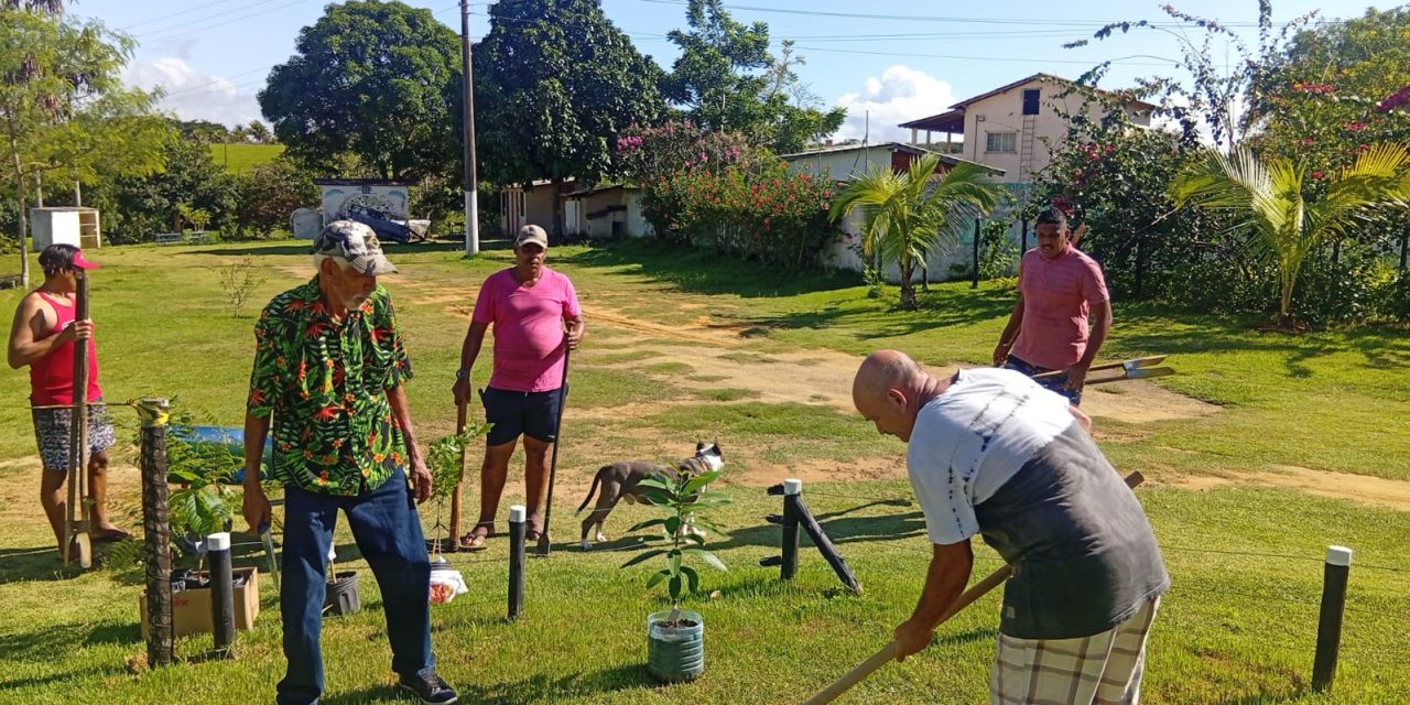 Fazenda de Serra recebe doação de mudas e promove momento de plantio com acolhidos