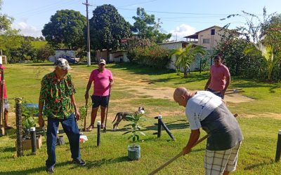 Fazenda de Serra recebe doação de mudas e promove momento de plantio com acolhidos