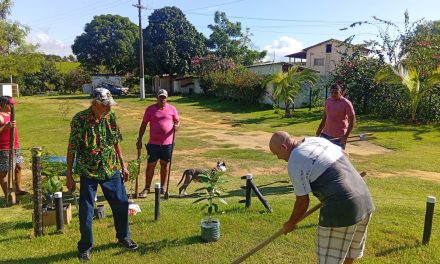 Fazenda de Serra recebe doação de mudas e promove momento de plantio com acolhidos