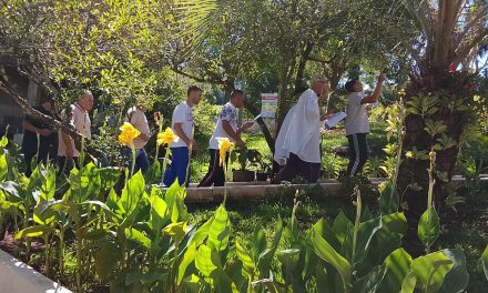Reflexões, temas e celebrações na Fazenda Santa Paulina