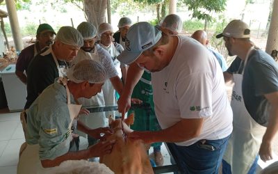 Curso de defumação artesanal de carnes na Fazenda São Sebastião