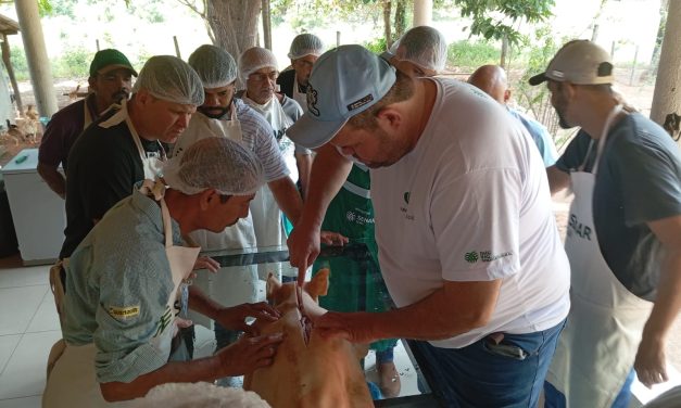 Curso de defumação artesanal de carnes na Fazenda São Sebastião