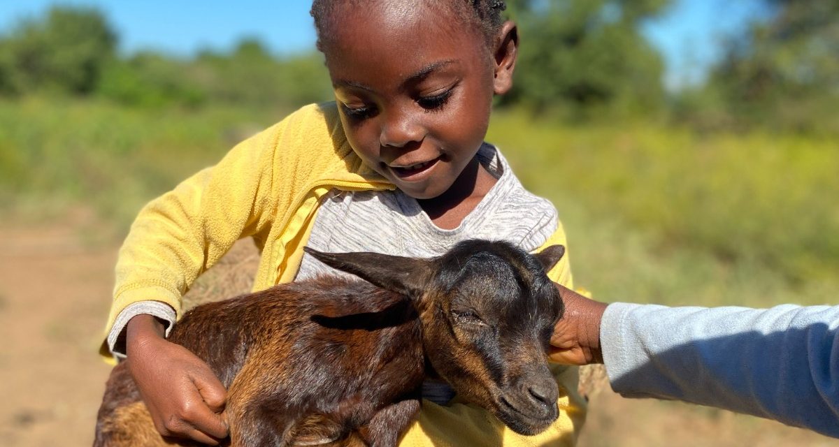 Boletim JUNHO de 2026 – Centro Infantil Chitaitai