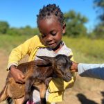 Boletim JUNHO de 2026 – Centro Infantil Chitaitai