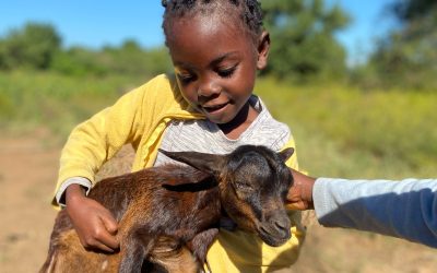 Boletim JUNHO de 2026 – Centro Infantil Chitaitai