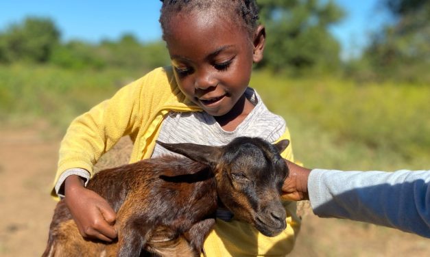 Boletim JUNHO de 2026 – Centro Infantil Chitaitai
