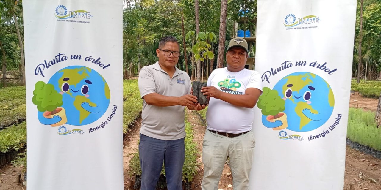 Fazenda Santo Hermano Pedro recebe 800 mudas de Palo Blanco para reflorestamento na Guatemala