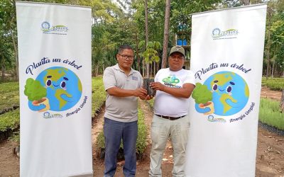 Fazenda Santo Hermano Pedro recebe 800 mudas de Palo Blanco para reflorestamento na Guatemala