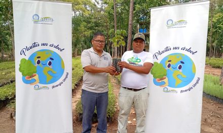 Fazenda Santo Hermano Pedro recebe 800 mudas de Palo Blanco para reflorestamento na Guatemala